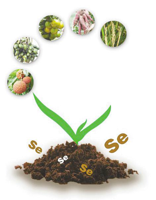 15459678211266551023.png 15459678211266551023.png