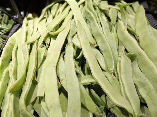 豆角.jpg 豆角.jpg