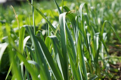 食品科技.jpg 食品科技.jpg